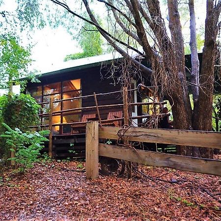 Black Cockatoo Lodge ナナップ エクステリア 写真