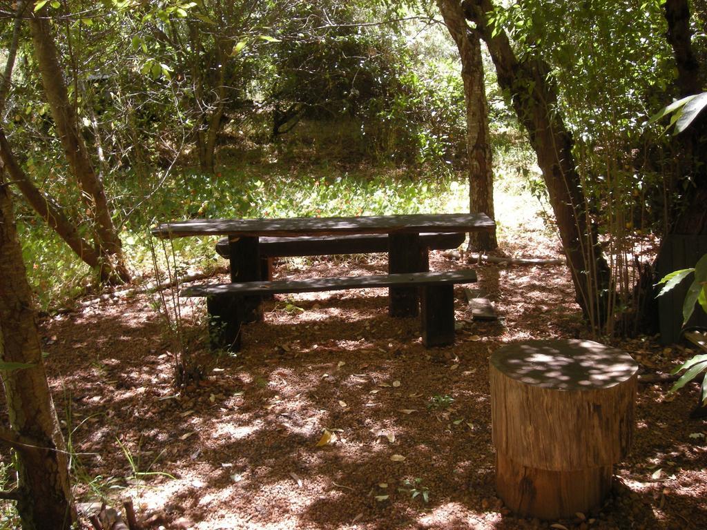 Black Cockatoo Lodge ナナップ エクステリア 写真