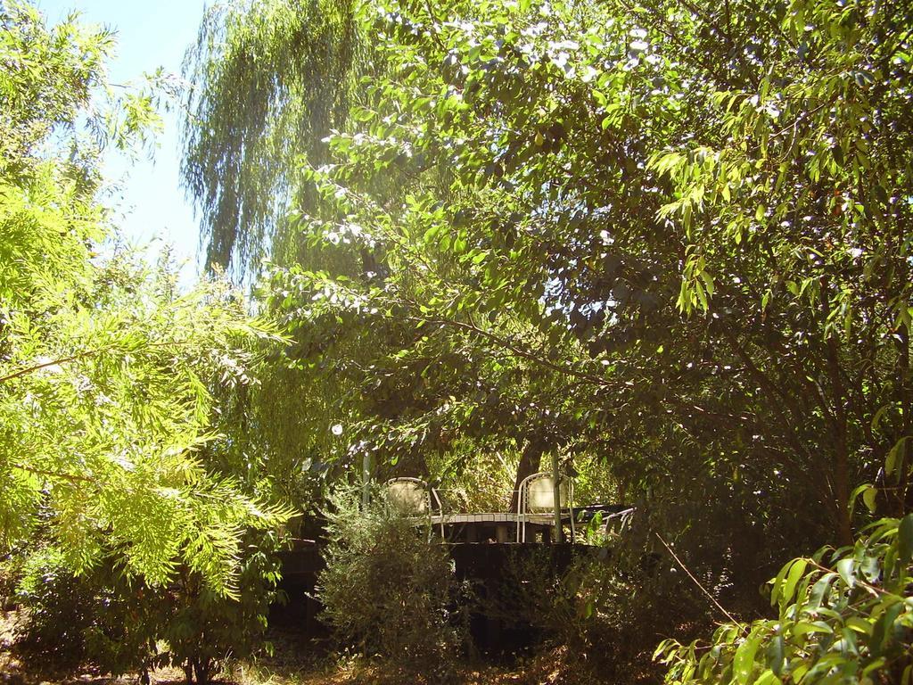 Black Cockatoo Lodge ナナップ エクステリア 写真
