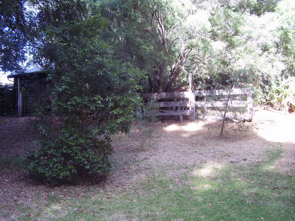 Black Cockatoo Lodge ナナップ エクステリア 写真