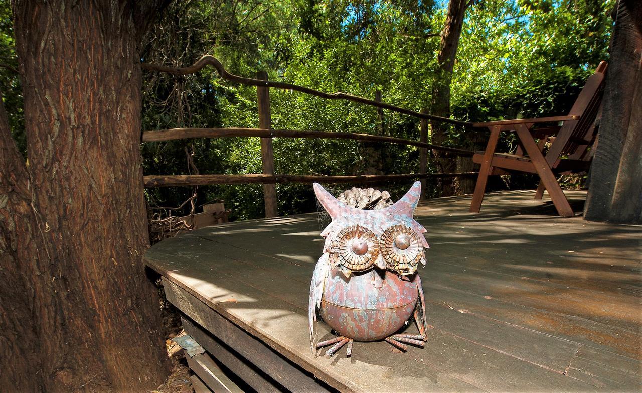 Black Cockatoo Lodge ナナップ エクステリア 写真