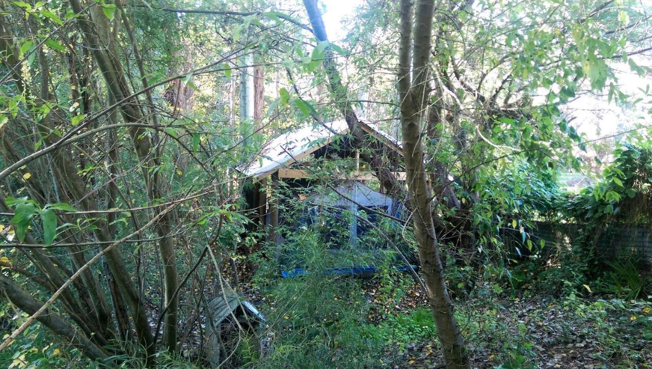 Black Cockatoo Lodge ナナップ エクステリア 写真